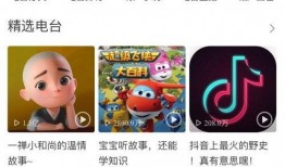 娱乐吃瓜专用音乐视频,跟随音乐视频领略娱乐圈风云变幻