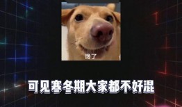 关于吃瓜娱乐八卦的网名