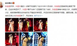 娱乐吃瓜君粉丝数,揭秘网红成长之路