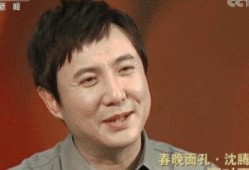 娱乐圈吃瓜沈腾小说,沈腾的瓜田奇遇记