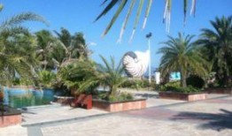 娱乐718吃瓜三亚,三亚吃瓜盛宴，明星幕后故事大曝光！