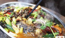 锦鲤娱乐吃瓜
