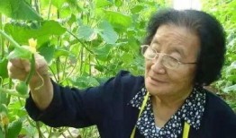 娱乐吃瓜酱善良的人是谁,探寻网络红人的真实一面