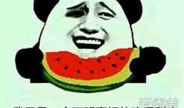 吃瓜大娱乐,揭秘娱乐圈幕后故事与热点事件