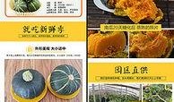 娱乐吃瓜背景模板下载安装,揭秘明星幕后故事，吃瓜群众狂欢时刻