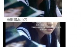 娱乐圈吃瓜文完结小说