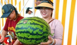 娱乐最新吃瓜,明星大事件揭秘！