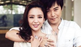 吃瓜夫妻娱乐圈