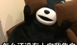 倔强式单身娱乐吃瓜酱,揭秘“倔强式单身娱乐吃瓜酱”的独特魅力