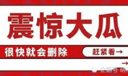 关于吃瓜娱乐八卦的网名
