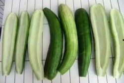 娱乐吃瓜酱花期,揭秘明星幕后故事