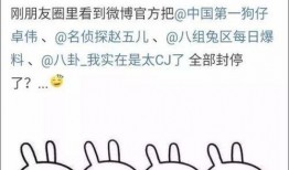 娱乐吃瓜汇总知乎,揭秘明星幕后故事