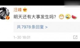 娱乐吃瓜网718,揭秘娱乐圈最新热点事件