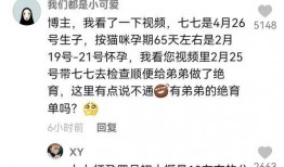 七七和铲屎官娱乐吃瓜君