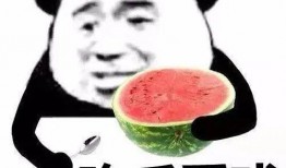 娱乐吃瓜酱这就是夏天,娱乐吃瓜酱带你领略这就是夏天的魅力