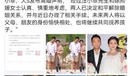 娱乐圈吃瓜一周年