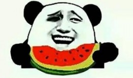 娱乐吃瓜酱这就是夏天,娱乐吃瓜酱带你领略这就是夏天的魅力
