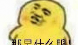 吃娱乐圈瓜表情包,吃瓜表情包盘点