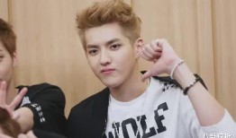 吃瓜娱乐圈任豪