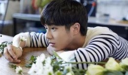 吃瓜娱乐圈弟弟云之羽,娱乐圈弟弟的璀璨星途