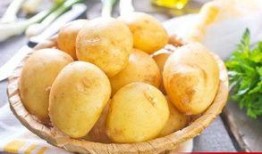 娱乐吃瓜小金土豆,揭秘吃瓜群众背后的土豆人生