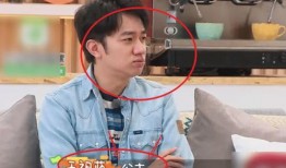 娱乐吃瓜王祖蓝是谁,王祖蓝的趣味人生