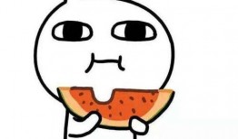 娱乐吃瓜酱语录大全集