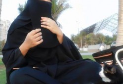 娱乐吃瓜君77,揭秘娱乐圈那些不为人知的幕后故事