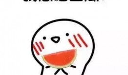 娱乐吃瓜酱语录大全集