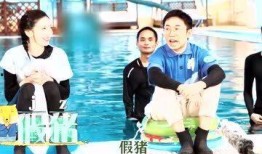 吃瓜娱乐综艺节目,揭秘热门综艺背后的娱乐盛宴