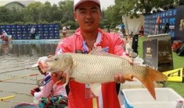 娱乐吃瓜遛鸟大师是谁啊,网络红人的传奇故事