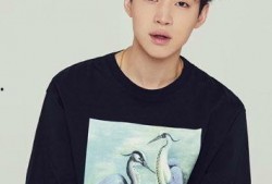 娱乐吃瓜酱刘宪华,娱乐吃瓜界的“瓜王”传奇