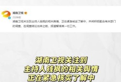 娱乐圈吃瓜运营模式是什么
