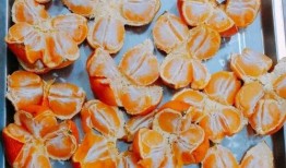 娱乐吃瓜小酥鹿,小酥鹿带你吃瓜探秘