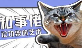 娱乐吃瓜君和猫,揭秘娱乐圈的萌宠趣事