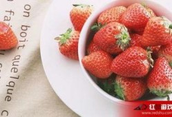 娱乐吃瓜酱草莓视频下载