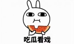 娱乐吃瓜酱玩梗,娱乐吃瓜酱带你领略网络梗界的风花雪月