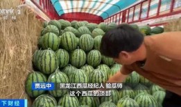 娱乐吃瓜君小麦,揭秘娱乐圈那些不为人知的幕后故事